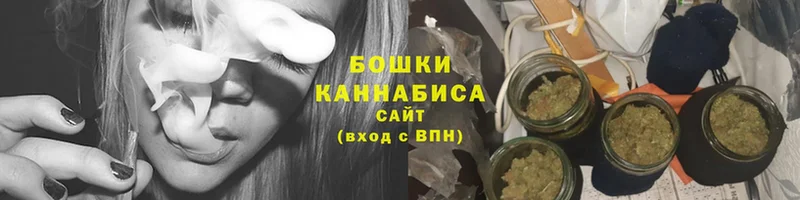 Бошки Шишки SATIVA & INDICA  где найти наркотики  Бородино 